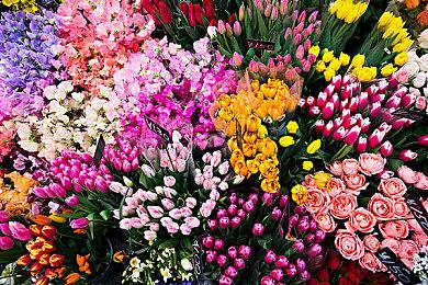 因预计销售不佳 Bioware曾取消一部NDS作品《质量效应：海盗船》